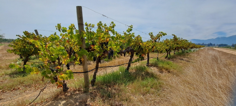 3 Bedroom Property for Sale in Wellington Rural Western Cape